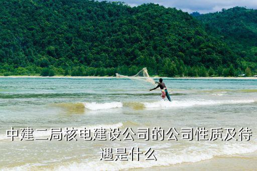 中建二局核電建設公司的公司性質及待遇是什么