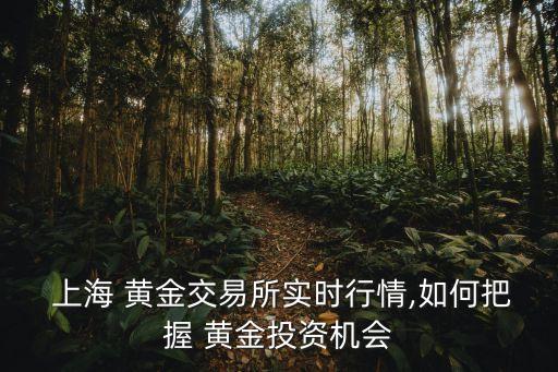  上海 黃金交易所實(shí)時行情,如何把握 黃金投資機(jī)會