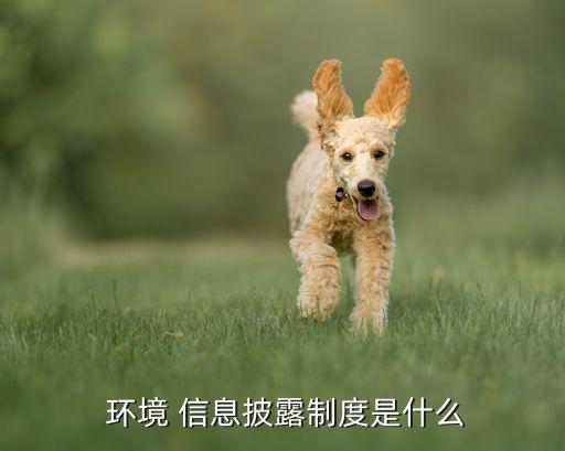 上市公司環(huán)境信息披露造紙業(yè),造紙業(yè)環(huán)境會計(jì)信息披露