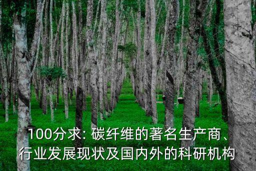 100分求: 碳纖維的著名生產(chǎn)商、行業(yè)發(fā)展現(xiàn)狀及國(guó)內(nèi)外的科研機(jī)構(gòu)