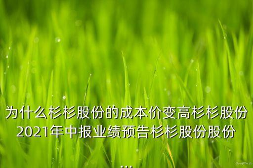 為什么杉杉股份的成本價(jià)變高杉杉股份2021年中報(bào)業(yè)績預(yù)告杉杉股份股份...