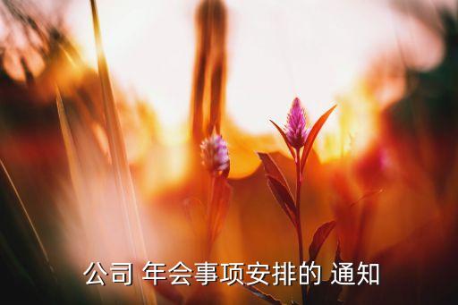  公司 年會事項(xiàng)安排的 通知
