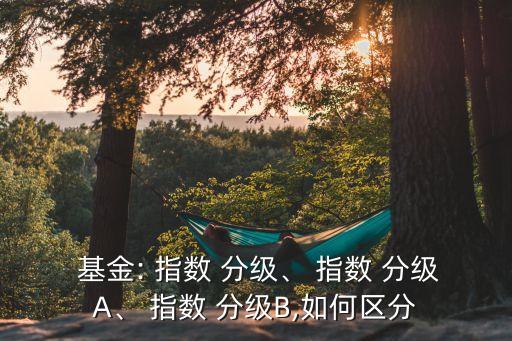  基金: 指數(shù) 分級(jí)、 指數(shù) 分級(jí)A、 指數(shù) 分級(jí)B,如何區(qū)分