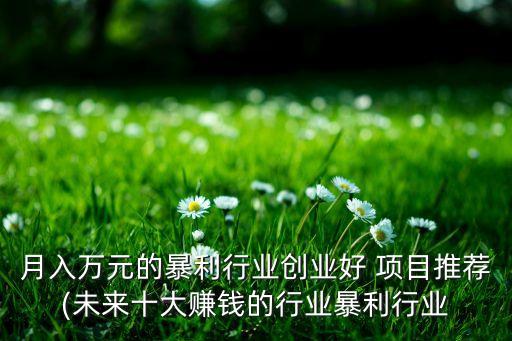 月入萬元的暴利行業(yè)創(chuàng)業(yè)好 項(xiàng)目推薦(未來十大賺錢的行業(yè)暴利行業(yè)