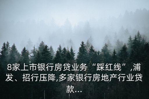 8家上市銀行房貸業(yè)務(wù)“踩紅線”,浦發(fā)、招行壓降,多家銀行房地產(chǎn)行業(yè)貸款...