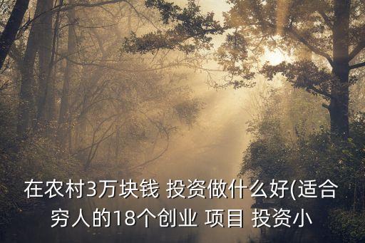 在農(nóng)村3萬塊錢 投資做什么好(適合窮人的18個(gè)創(chuàng)業(yè) 項(xiàng)目 投資小