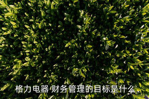  格力電器 財(cái)務(wù)管理的目標(biāo)是什么
