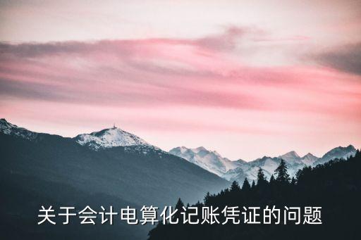 關(guān)于會計(jì)電算化記賬憑證的問題