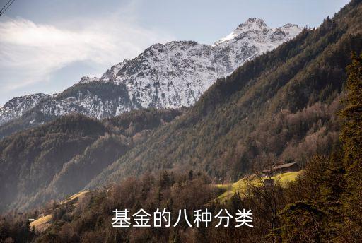  基金的八種分類(lèi)