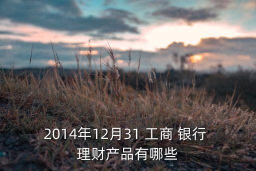 2014年12月31 工商 銀行 理財產品有哪些