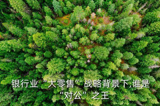  銀行業(yè)“大零售”戰(zhàn)略背景下,誰是“對(duì)公”之王