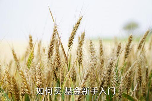 買(mǎi)基金怎么研究,買(mǎi)了基金怎么退款