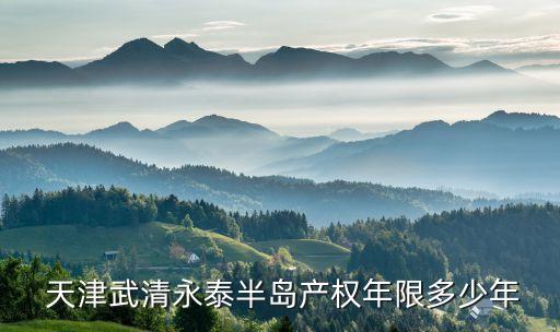  天津武清永泰半島產(chǎn)權(quán)年限多少年
