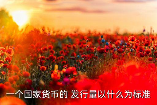 一個(gè)國家貨幣的 發(fā)行量以什么為標(biāo)準(zhǔn)