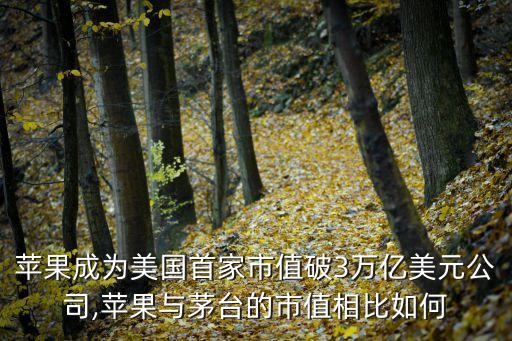 蘋果成為美國首家市值破3萬億美元公司,蘋果與茅臺(tái)的市值相比如何