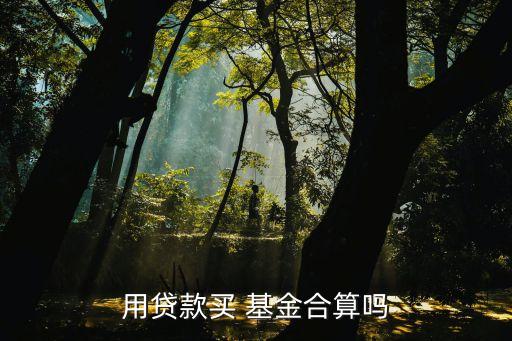 用貸款買(mǎi) 基金合算嗎