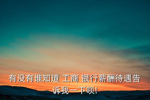 有沒(méi)有誰(shuí)知道 工商 銀行薪酬待遇告訴我一下唄!