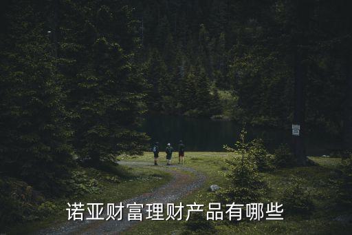 諾亞財富理財產品有哪些