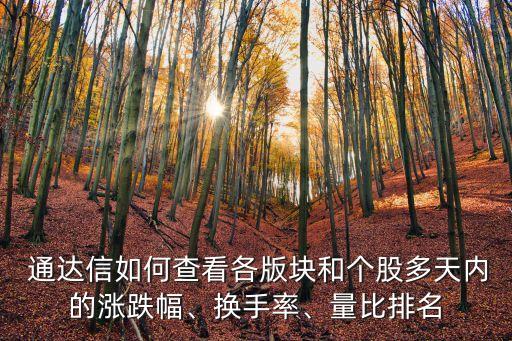  通達(dá)信如何查看各版塊和個(gè)股多天內(nèi)的漲跌幅、換手率、量比排名