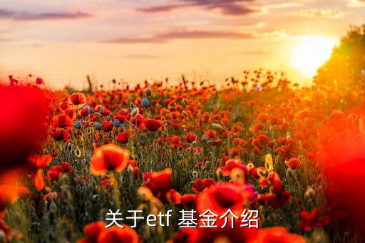 關于etf 基金介紹