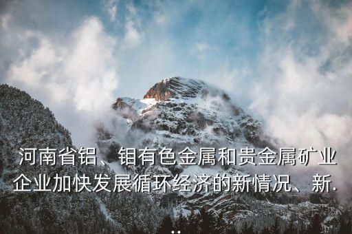  河南省鋁、鉬有色金屬和貴金屬礦業(yè)企業(yè)加快發(fā)展循環(huán)經(jīng)濟(jì)的新情況、新...