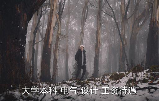 大學本科 電氣 設(shè)計 工資待遇