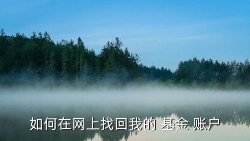 如何在網(wǎng)上找回我的 基金 賬戶(hù)