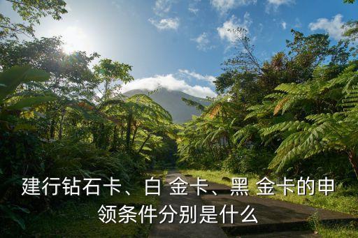 建行鉆石卡、白 金卡、黑 金卡的申領(lǐng)條件分別是什么
