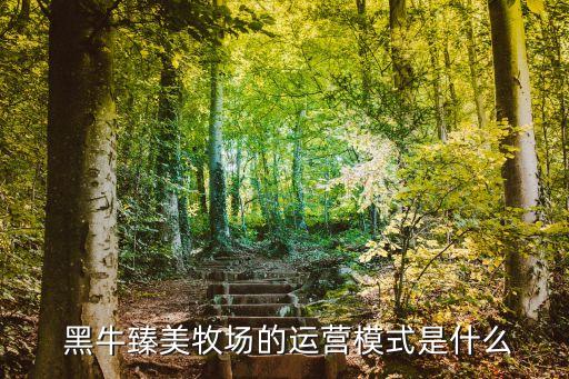  黑牛臻美牧場(chǎng)的運(yùn)營(yíng)模式是什么
