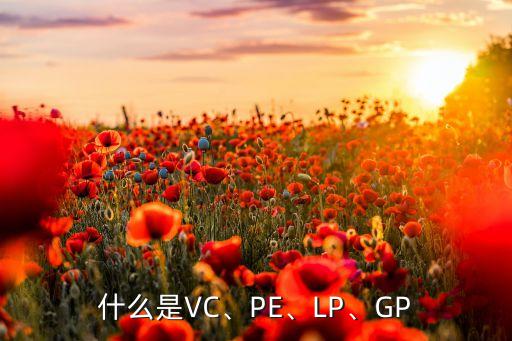 什么是VC、PE、LP、GP