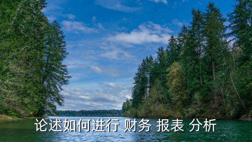 論述如何進(jìn)行 財務(wù) 報表 分析