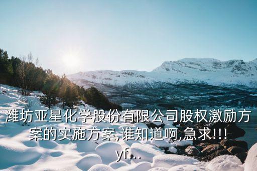 濰坊亞星化學(xué)股份有限公司股權(quán)激勵(lì)方案的實(shí)施方案,誰(shuí)知道啊,急求!!!yf...
