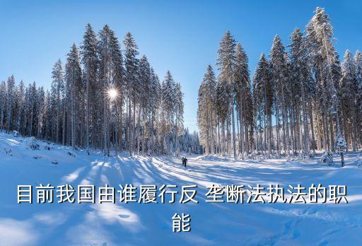 目前我國(guó)由誰履行反 壟斷法執(zhí)法的職能