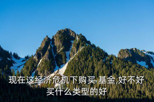 現(xiàn)在這經濟危機下購買 基金,好不好買什么類型的好