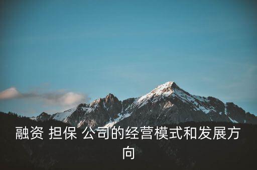 融資 擔(dān)保 公司的經(jīng)營模式和發(fā)展方向
