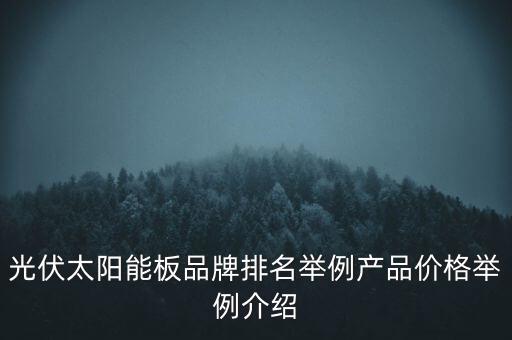 光伏太陽能板品牌排名舉例產(chǎn)品價(jià)格舉例介紹