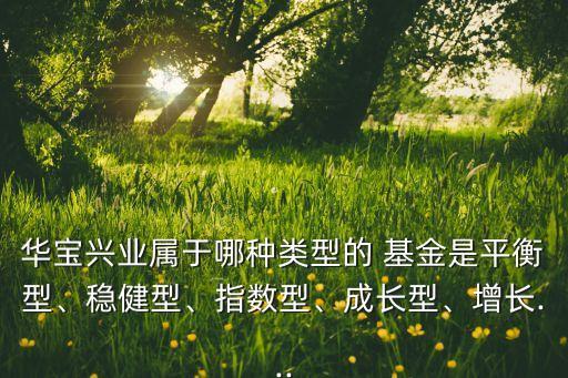 華寶興業(yè)屬于哪種類型的 基金是平衡型、穩(wěn)健型、指數(shù)型、成長型、增長...