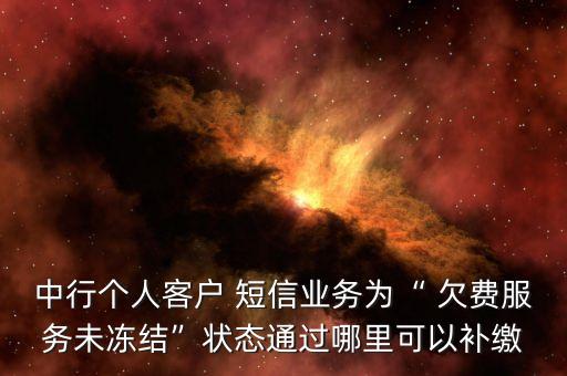 中行個人客戶 短信業(yè)務為“ 欠費服務未凍結(jié)”狀態(tài)通過哪里可以補繳