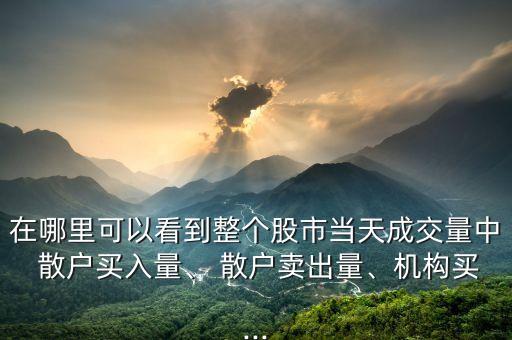 在哪里可以看到整個股市當(dāng)天成交量中 散戶買入量、 散戶賣出量、機(jī)構(gòu)買...