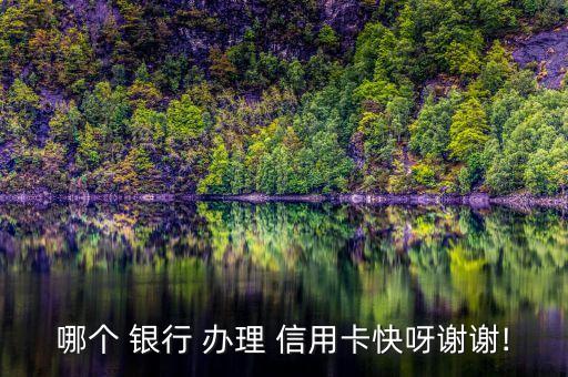 哪個 銀行 辦理 信用卡快呀謝謝!