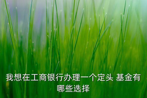 我想在工商銀行辦理一個(gè)定頭 基金有哪些選擇