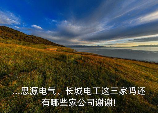 ...思源電氣、長城電工這三家嗎還有哪些家公司謝謝!