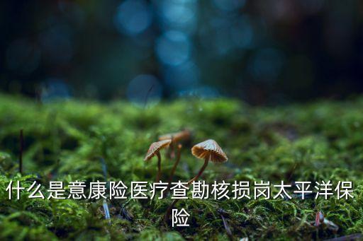 中國太?；A(chǔ)設(shè)施債權(quán),基礎(chǔ)設(shè)施債權(quán)計劃