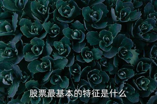 永久性股份有限公司,佳木斯電機股份有限公司