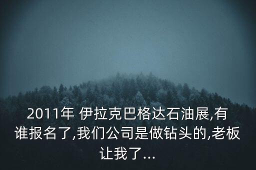 2011年 伊拉克巴格達石油展,有誰報名了,我們公司是做鉆頭的,老板讓我了...
