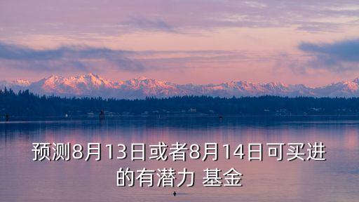 預(yù)測(cè)8月13日或者8月14日可買(mǎi)進(jìn)的有潛力 基金