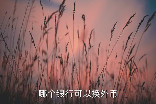 中國(guó)建設(shè)銀行可以直接購(gòu)買英鎊嗎,開(kāi)戶行可以直接寫(xiě)中國(guó)建設(shè)銀行嗎