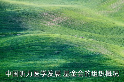 中國(guó)聽(tīng)力醫(yī)學(xué)發(fā)展 基金會(huì)的組織概況