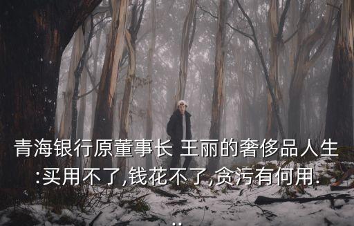 青海銀行原董事長(zhǎng) 王麗的奢侈品人生:買用不了,錢花不了,貪污有何用...