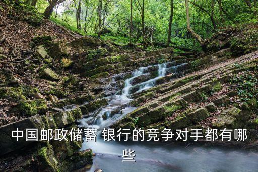 中國(guó)郵政儲(chǔ)蓄 銀行的競(jìng)爭(zhēng)對(duì)手都有哪些
